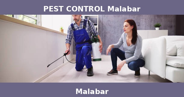 PEST CONTROL Malabar